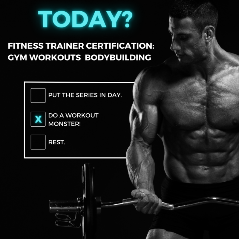 Fitness Trainer Certification: Gym Workouts  Bodybuilding